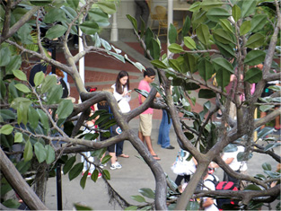 Aloha Isle Line Waiting For My Dole Whip, December 2013